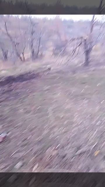 Гродовка смотреть онлайн