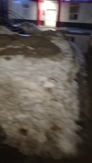 №275. ул. Красноармейская 1-я. 15 марта 2025 г., 21:22:27. VID_20250315_212134375