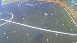 Последний дрифт осенью (серия 1)