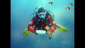 ФУТАЖ - ПОДВОДНЫЙ МИР