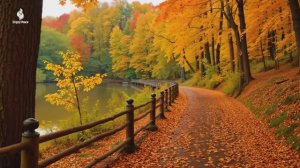 Красивая расслабляющая музыка 🌿 Музыка для снятия стресса 🌿 Нежная музыка