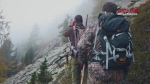 Серна в Австрийских Альпах. Охота без границ.