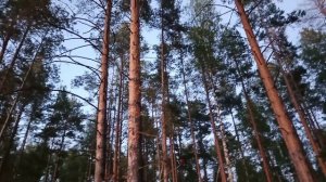 Сегодня прекрасный день...