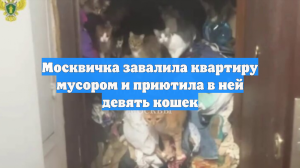 Москвичка завалила квартиру мусором и приютила в ней девять кошек