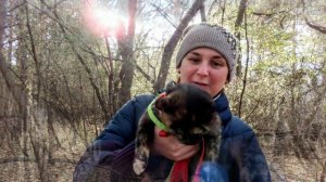 Птички и белки соснового бора. Кемерово