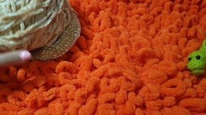 Вступление в СП "Последний ряд под бой курантов"