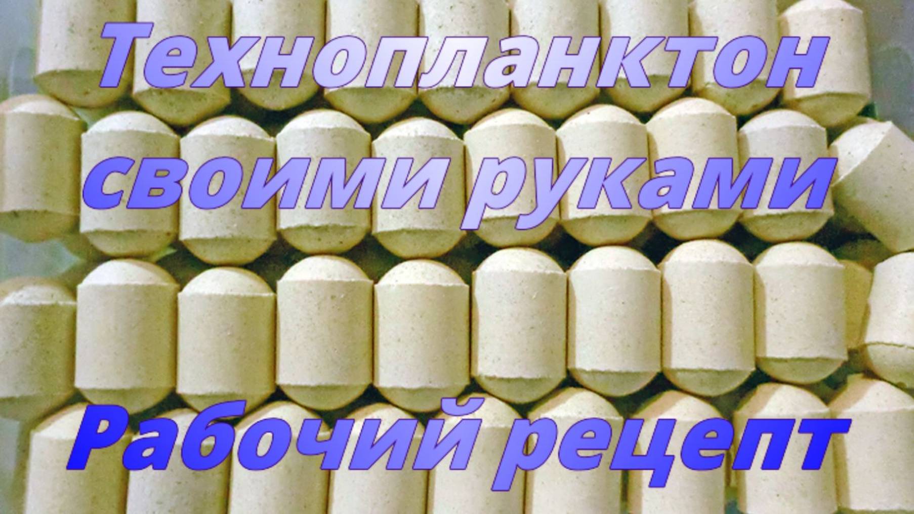Технопланктон своими руками. Рабочий рецепт.