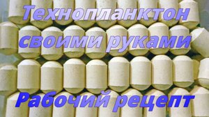 Технопланктон своими руками. Рабочий рецепт.
