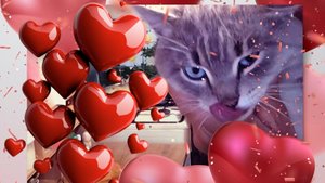 По вашей ПрОсЬбе✅