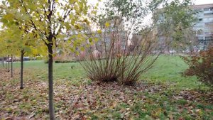 Погода конца Октября.