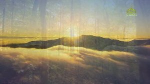 Стихи над миром. Стихотворения Зинаиды Миркиной