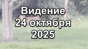 Видение 24 октября 2025