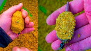 Рыбалка на Пружину и Флэт Фидер