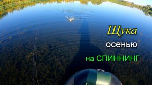 Ловля ЩУКИ осенью на неогруженные силиконовые приманки. Щука атакует из травы. Часть 2