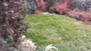 Вот и конец октября 2025 г.