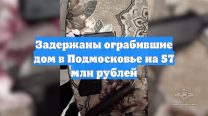 Задержаны ограбившие дом в Подмосковье на 57 млн рублей