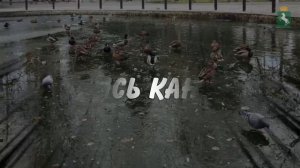 Выходить на лёд нельзя