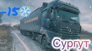 СУРГУТ: ДЛЯ МУЖИКОВ #ПОКОРЯЕМ СЕВЕР #ПОГНУЛИ БОРТ НА ВЫГРУЗКЕ #деловыелинии #mytruck #mercedesbenz