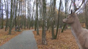 В Серпухове провели опрос среди гостей парка Питомник