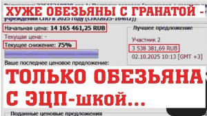 ГОСЗАКУПКИ ФЗ-44 ФЗ-223 - ДЕБИЛЫ И ТЕНДЕРЫ: ОБВАЛ ЦЕН, ВЗЛОМ ПЛОЩАДОК, ЗАЛЁТ В РНП