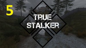 Прохождение S.T.A.L.K.E.R True Stalker. Часть 5