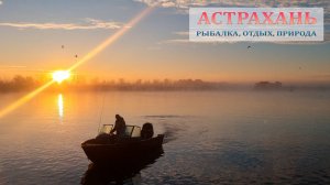 Осенняя рыбалка на судака и жереха на раскатах Волги / Астрахань, жор хищника