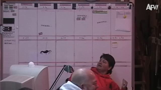 America′s Funniest Home Videos. We found the best pranks! 😂 Funniest Videos of the Week