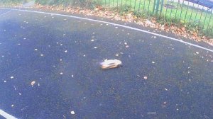 Последний дрифт осенью (серия 2)