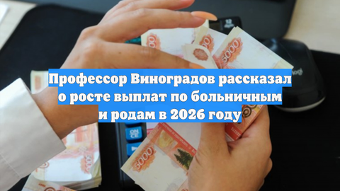 Профессор Виноградов рассказал о росте выплат по больничным и родам в 2026 году
