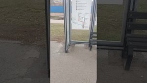 Пермь/Пригородный маршрут 344/Паз Вектор Некст/Улица Чкалова-Остановка Велта/