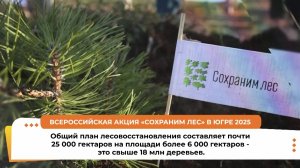 В Югре подвели итоги Всероссийской акции «Сохраним лес»