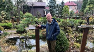 Сад бонсай в конце октября