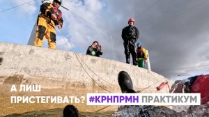 нужно ли пристегивать лиш?