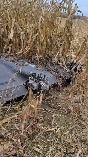 Хохолики нашли герань, реакция на герань украина новости смотреть онлайн