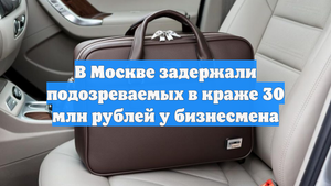 В Москве задержали подозреваемых в краже 30 млн рублей у бизнесмена