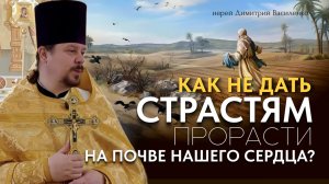 Семя веры и терния страстей. Притча о сеятеле