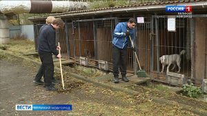 ГТРК СЛАВИЯ Субботник в приюте для собак 28.10.25
