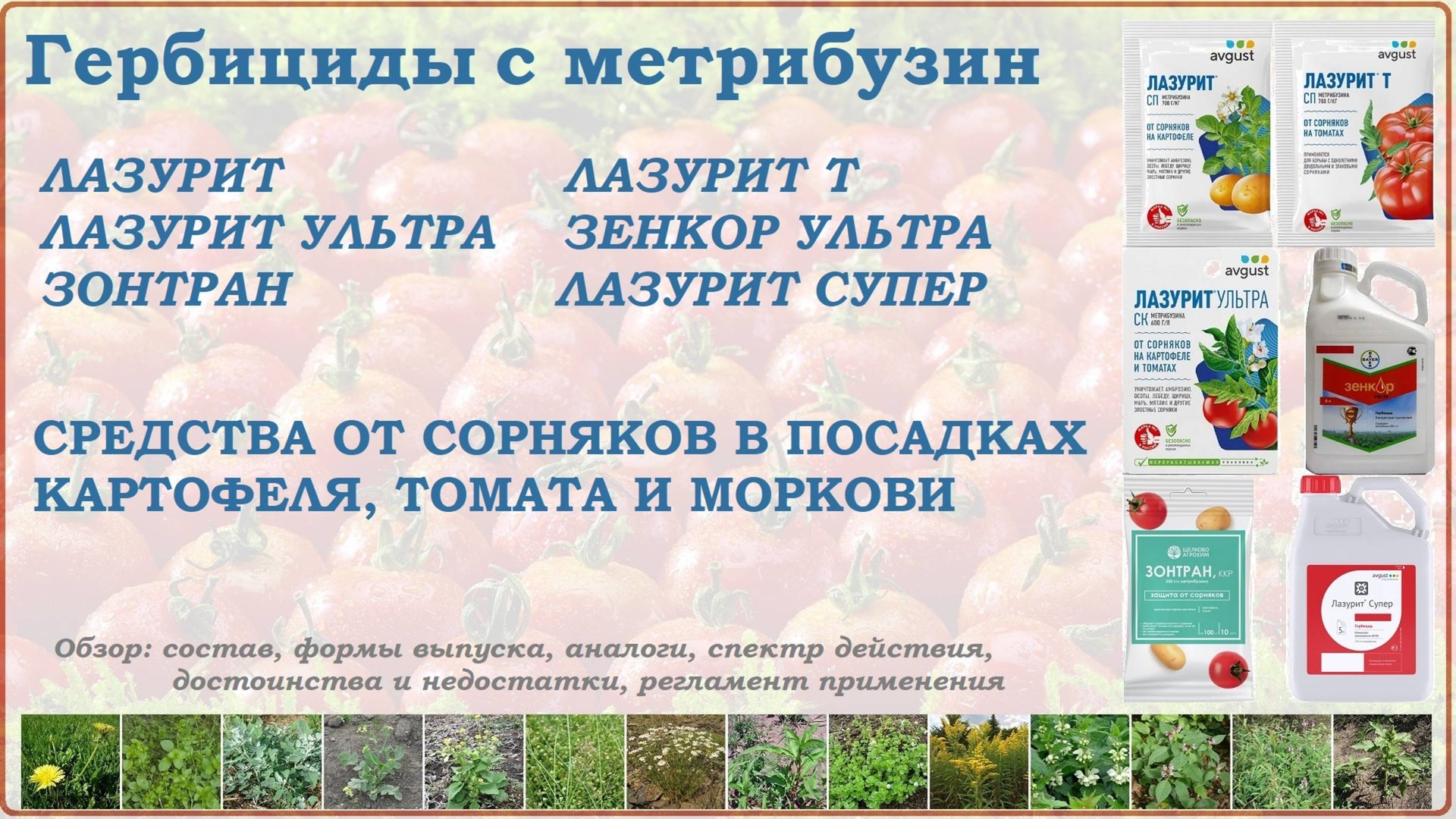 Лазурит, Зонтран и Зенкор - средства от сорняков в посадках картофеля,томата и моркови. Обзор