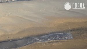 Пляжи Анапы готовят к новым выбросам мазута