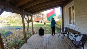 Воспитание и дрессировка собак