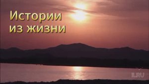 Слушать рассказ - Удивительные истории из жизни -  - Скандал у свекрови. Шокирующая ложь..