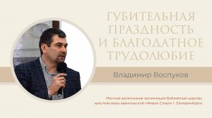 Губительная праздность и благодатное трудолюбие. Владимир Воспуков