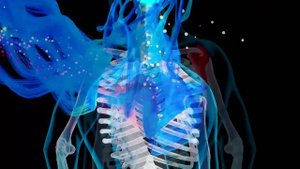 28 Октября Матрица СПИНА