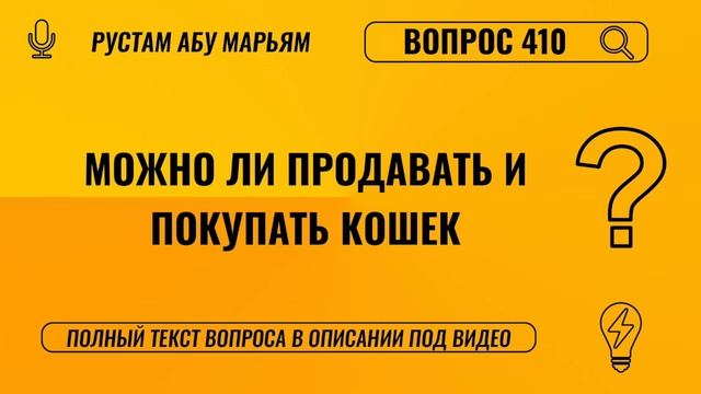 Можно ли продавать и покупать кошек? || Рустем Абу Марьям #ислам #коран #сунна #вера #рай