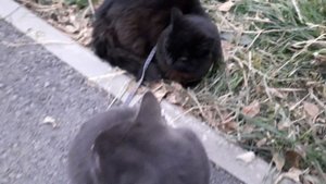 Посидели, отдохнули.