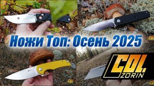 Ножи ТОП: Осень 2025