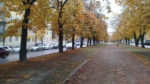 Осенние каштаны