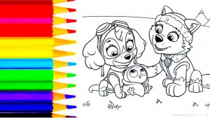 Раскраска щенячий патруль | видео для детей и малышей ❤️
