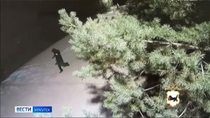 Вора-домушника задержали полицейские в Ангарске