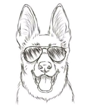 распаковка бумажных пакетов